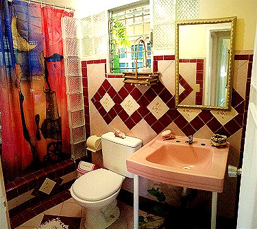 El otro ba&ntilde;o de Olguita