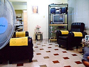Salon de la planta baja de la casa de Bertha y Fidel