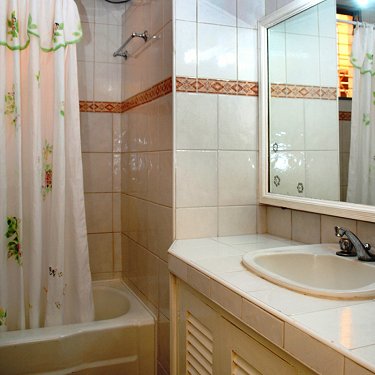 Ba&ntilde;o habitacion 102