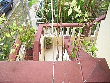 Escaleras desde la terraza a la calle