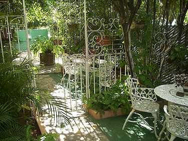 Jardin que comparten ambos apartamentos