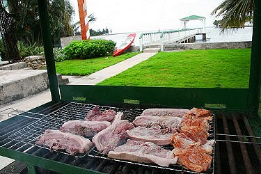 Jardin en el exterior con la barbacoa