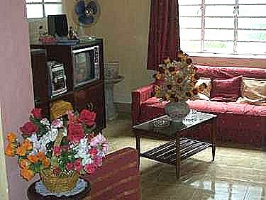 Salon del apartamento 1