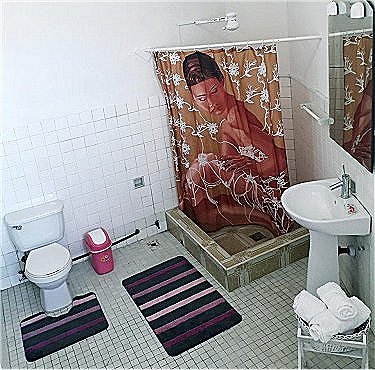 Ba&ntilde;o del apartamento