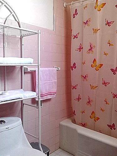 Ba&ntilde;o del apartamento de Maydeniss