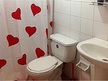 Ba&ntilde;o del apartamento