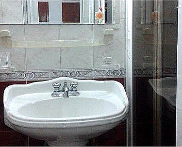 Detalle ba&ntilde;o (mampara ducha a la derecha)