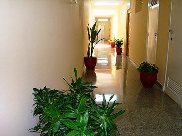Entrada al apartamento
