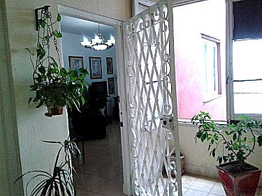 Terraza o patio techado