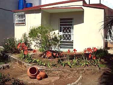 Vista desde el exterior bungalow