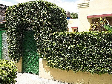 Entrada a la casa